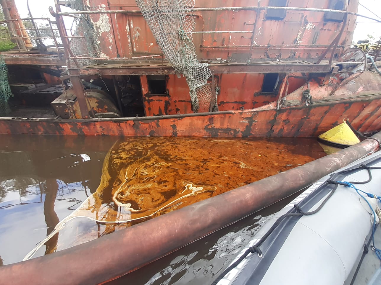 [Imagen: EjmXV0XWAAANDZ6?format=jpg&name=large]