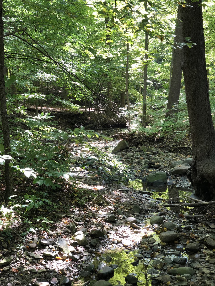 3AVikes's tweet photo. Our recess spot for today. @ColumbusAcademy #getoutside #explore https://t.co/thgLE9k60Z