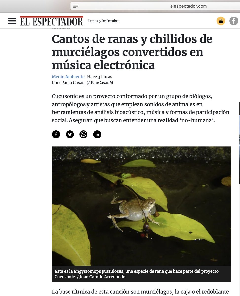 ValenciaTobon's tweet photo. Léanlo: https://t.co/CJZsFBooNN  

@elespectador @PauCasasM 

#cucusonic #CucuCollective #CucusonicCollective #croak #ranas #murciélagos #música #pájaros https://t.co/kZevEavbby https://t.co/RpaHOFhkvN