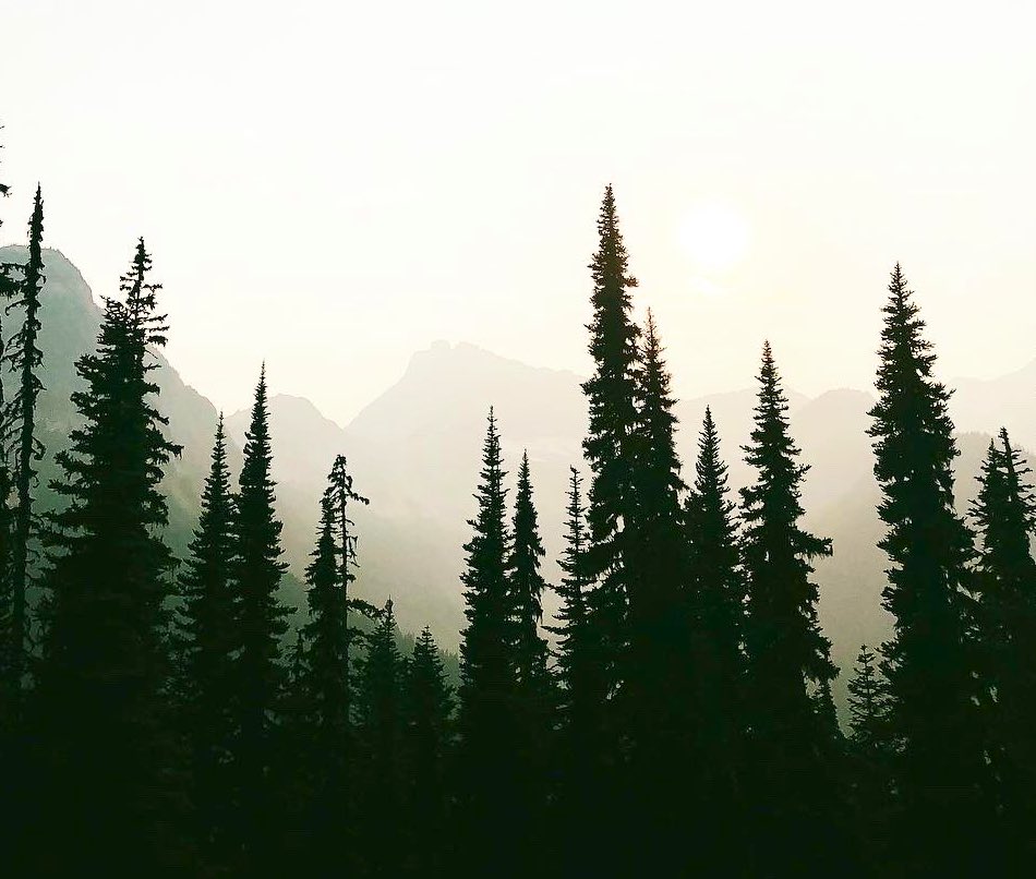 Scott Meis tweet media