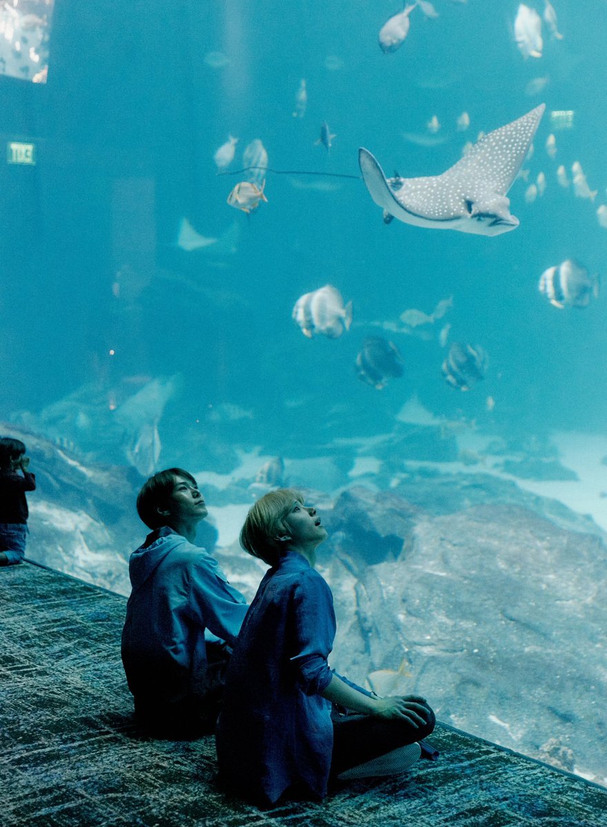 aquarium date goals