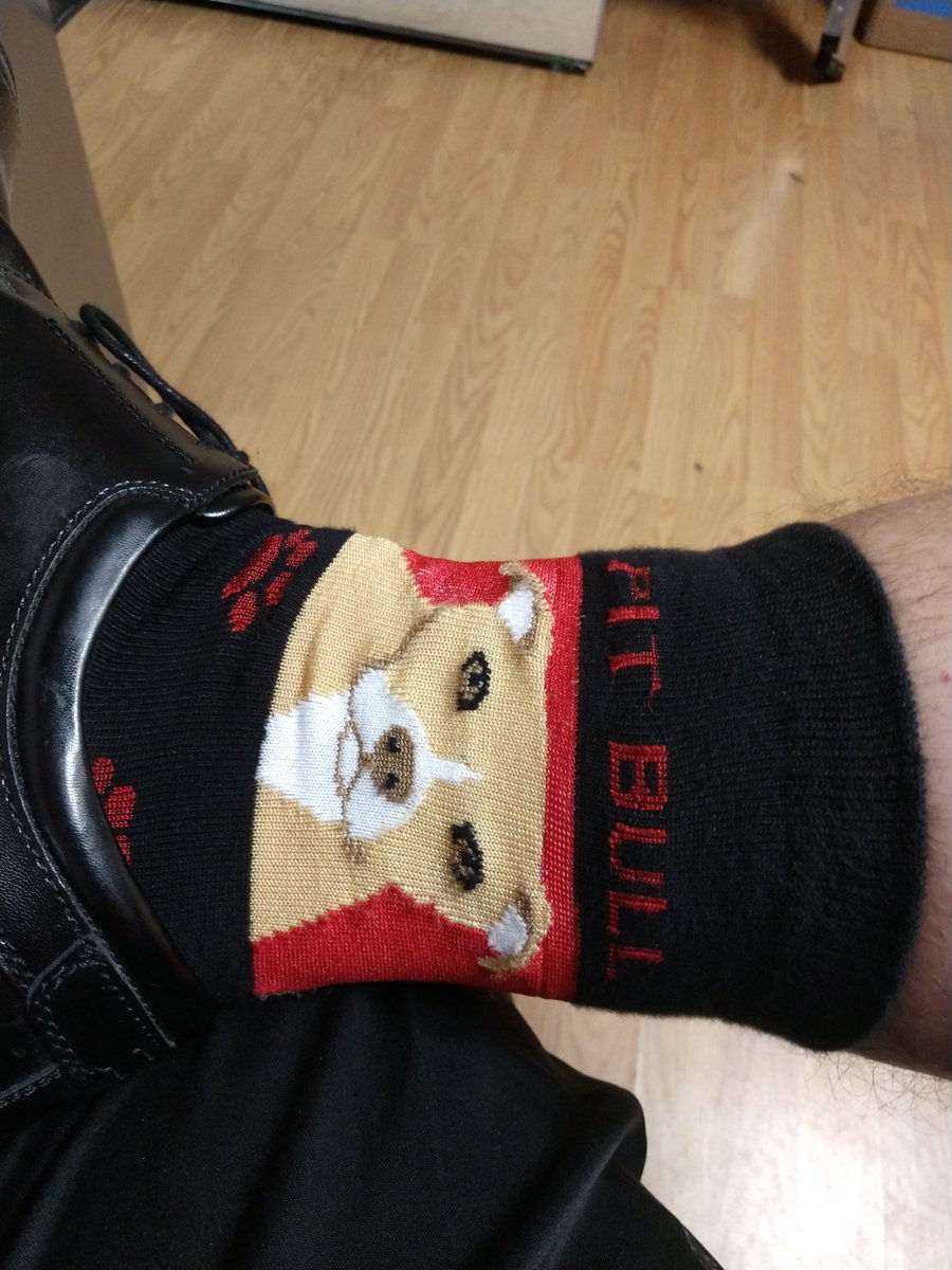 WilliamJThree's tweet photo. A lot of folks participated, but I like my socks the best. Puppy bias https://t.co/YOFHOqp1Kg
