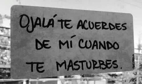 DonPichota tweet media