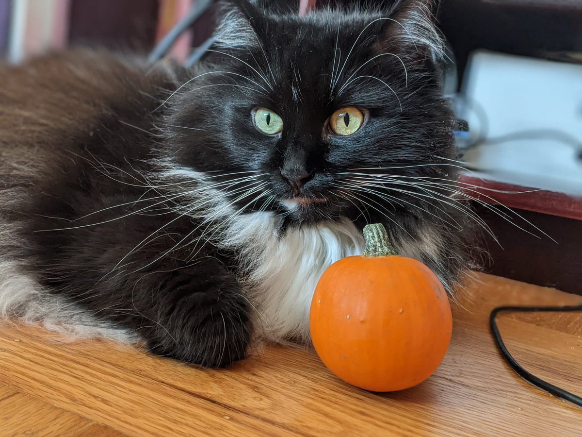 Artibuff tweet media