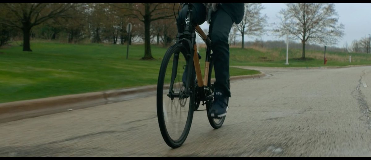 panda bamboo bicycle