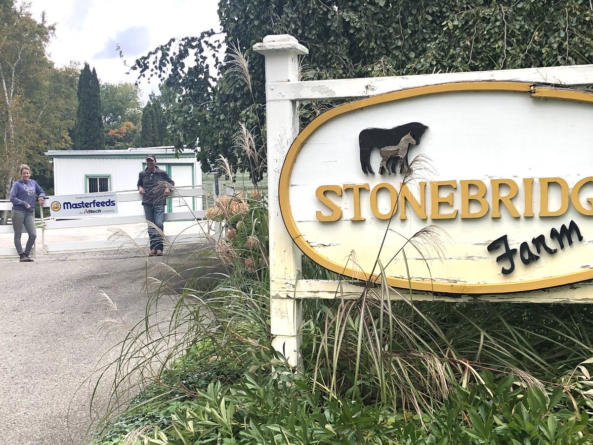 KeelingBlair's tweet photo. A more relaxed day at #StonebridgeFarm today. Several yearlings in Lexington KY for sale this week. Nelson and Whitney do a fantastic job with The Stiller’s pedigrees. #Masterfeeds glad to be a trusted partner 🐴🤗🇨🇦#lovehorses#hellohappyhorse#stonebridgefarm https://t.co/ECTBtGYpZs