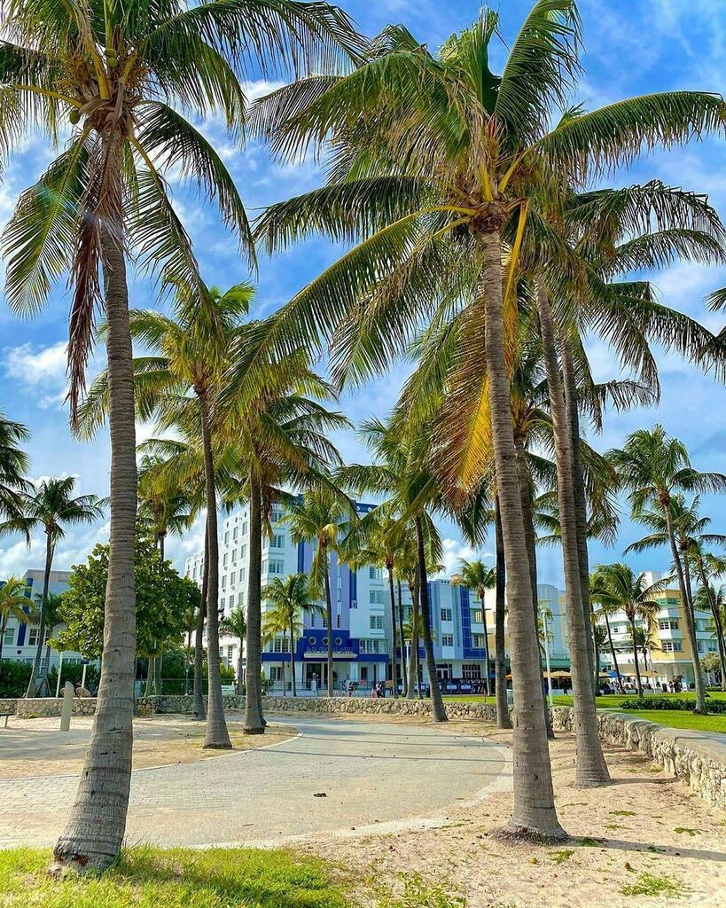 TheMiamiGuide's tweet photo. South Beach vibes and palm trees 🌴 
Tag someone who needs this 🙌
📸 @luckyrox6 

#miamibeachlife #southbeachmiami #miamibeachflorida #beachvibes #miamivibes #paradise #southfloridaliving #miamiliving #lovemiami #floridaliving #beachlifestyle #lifeisab… https://t.co/3HgEjTfMWS https://t.co/1wXnaskboZ