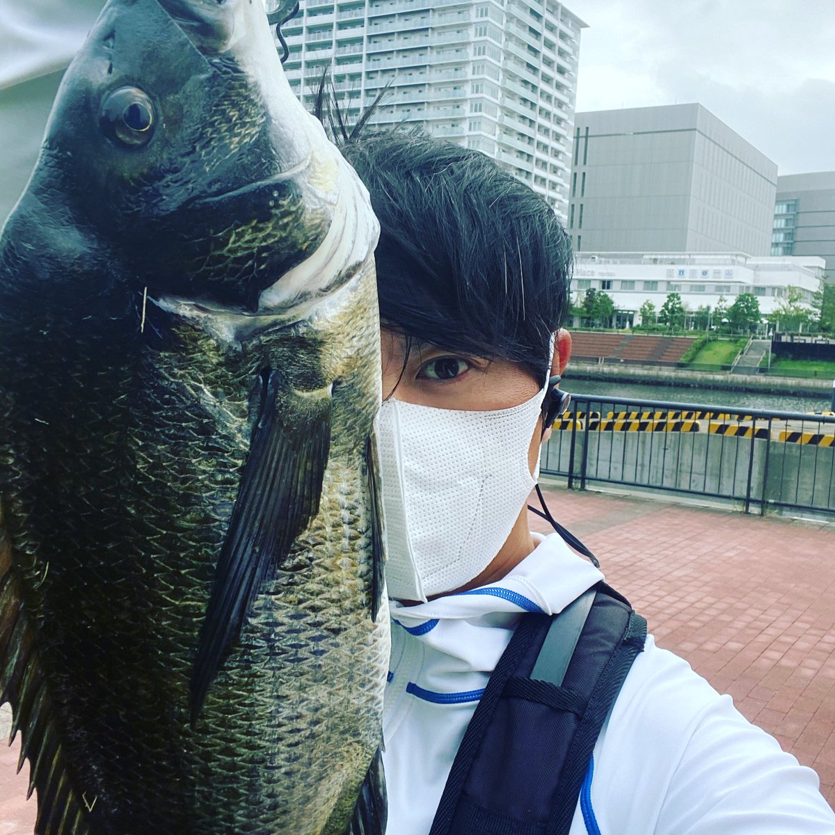 餌の大和屋 豊洲のヘチ釣りにて