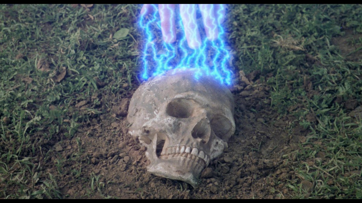 Demon Wind (1990). Dirt stupid/fun grossout movie where a guy is called back to his destroyed ancestral home that turns out to be a portal to a demonic past. Brings some friends to get murdered, and when they run out, brings more. Tons of effects and ideas outstripping ability.