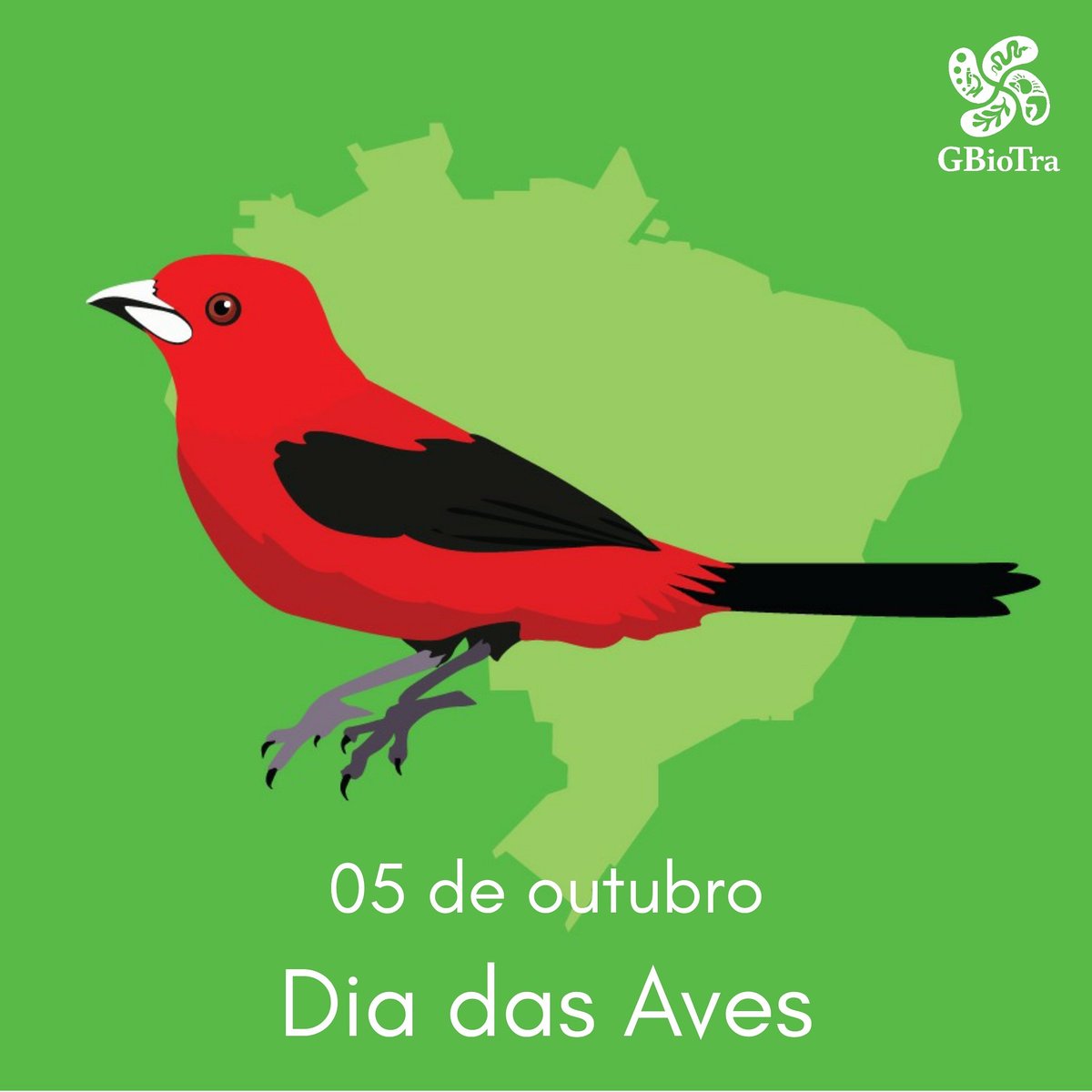 GBioTra's tweet photo. 05 de outubro • Dia Mundial das Aves

Arte feita por @paulomesper
Texto em nossas mídias produzido por @LSchiatti

#diadasaves #GBioTra #WikiAves https://t.co/gNNHyNngYN
