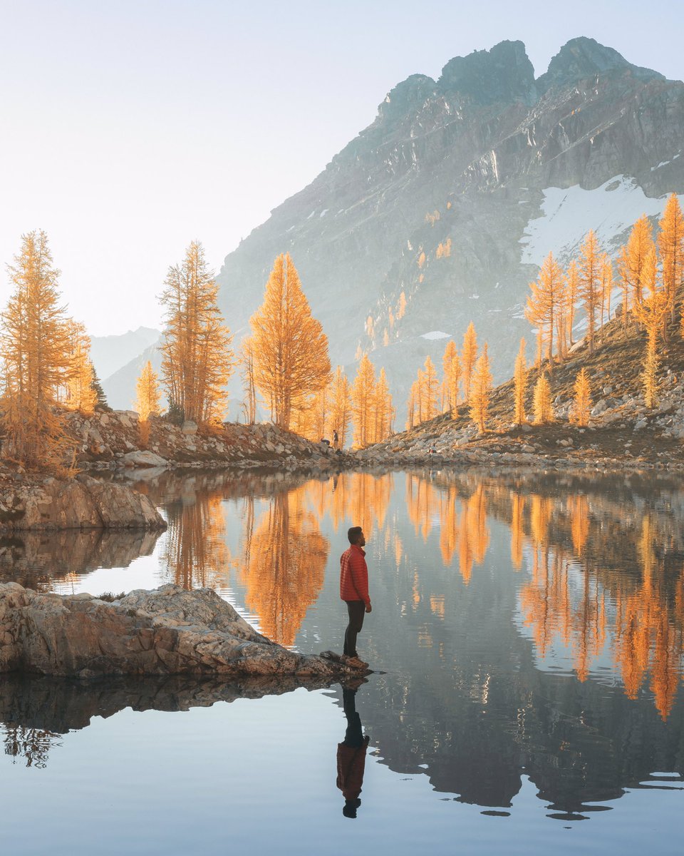 Jonahmoose's tweet photo. This weekend I took what might be my favorite photos I’ve ever taken. Any other larch-lovers out there? 😍 https://t.co/zqpcJT1Iwo