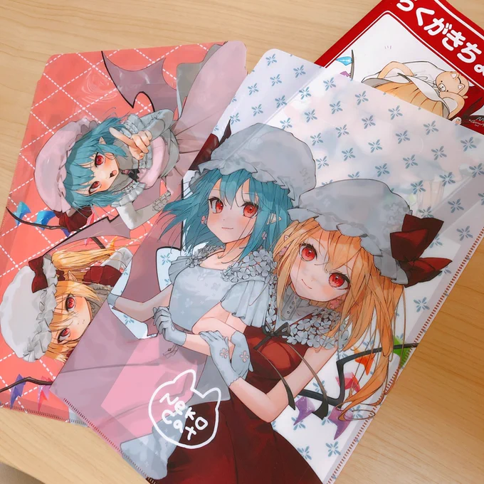 クリアファイルバッグが届きました〜☺️ 