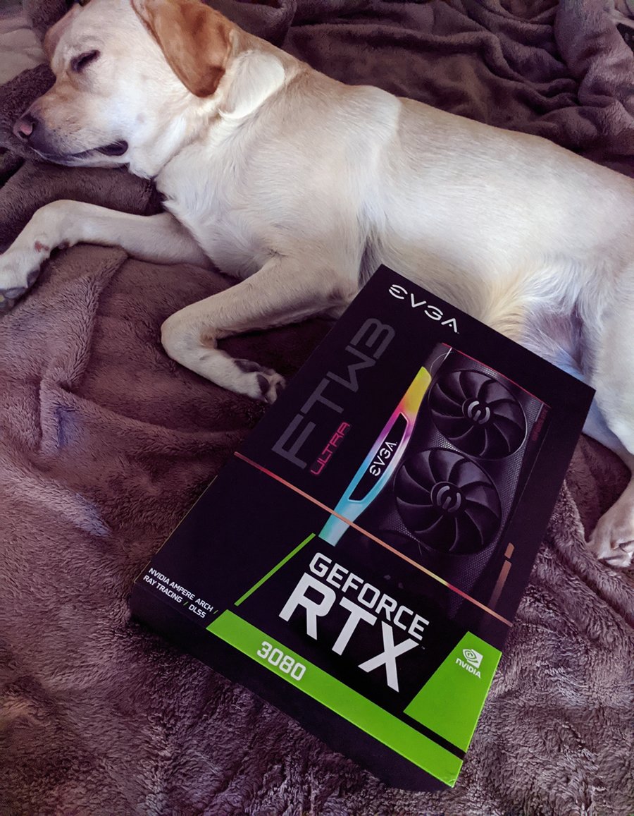Michelle Madison (@coastalmichelle) on Twitter photo Taking a nap... getting one of these things was IMPOSSIBLE, but we finally did it! <a href="/VGOPodcast/">Video Game Outsiders</a> #rtx3080 Taking a nap... getting one of these things was IMPOSSIBLE, but we finally did it! <a href="/VGOPodcast/">Video Game Outsiders</a> #rtx3080