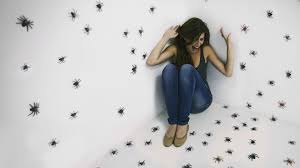 DrJennyYip's tweet photo. https://t.co/Gpo20KmT1R. The link to article for IG post is in the bio. #gotfears #fearofspiders #gotanxiety #gotocd #Arachnophobia https://t.co/IvnA271Rf5
