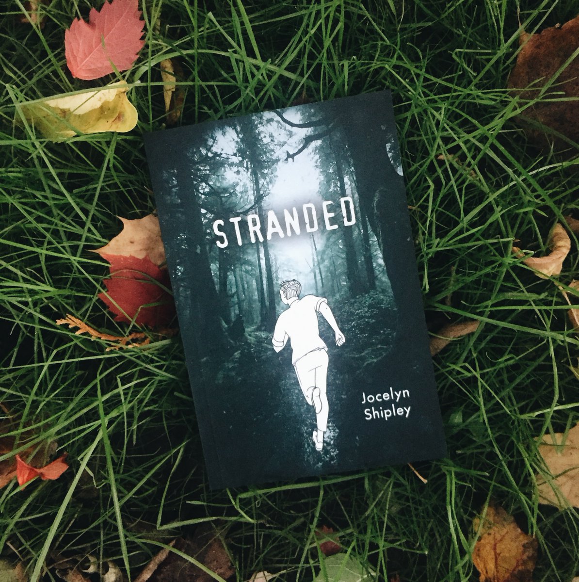 orcabook's tweet photo. π£ a teenager living on the streets
π‘ a new home
π² ...is it as good as it seems?
#Stranded by @sageshipley is out now in our new #ultrareadable format! #GetToKnowHiLo
π¨π¦ https://t.co/xPfrfJDEHs
πΊπΈ https://t.co/qR434Slgfg https://t.co/SF5zCBLNDA