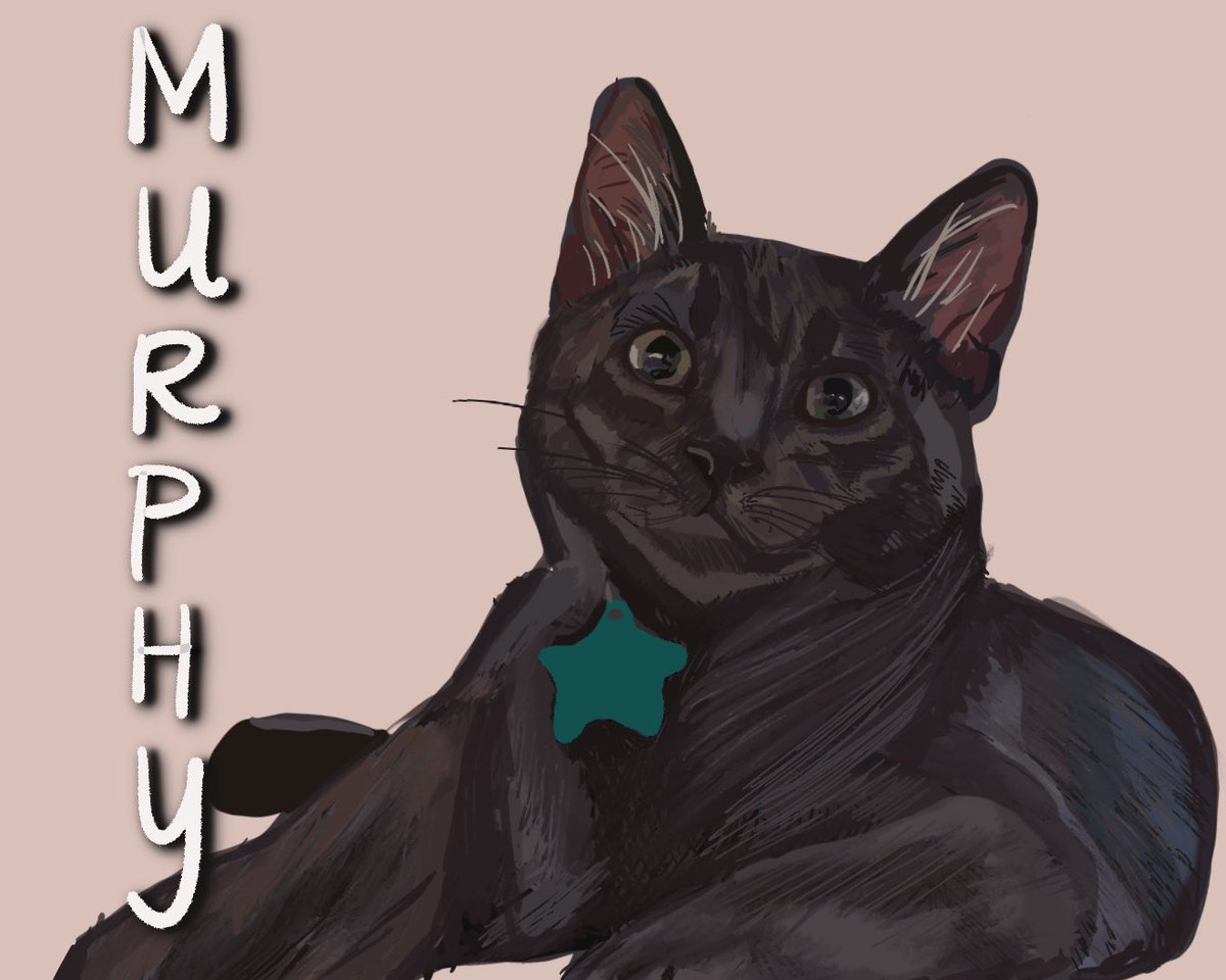 mikaylabeeler's tweet photo. I recently started creating animal prints and it’s so much fun bringing peoples furry friends to life so I’m starting a thread of my orders🥺❤️ https://t.co/eDIK3XZl6v