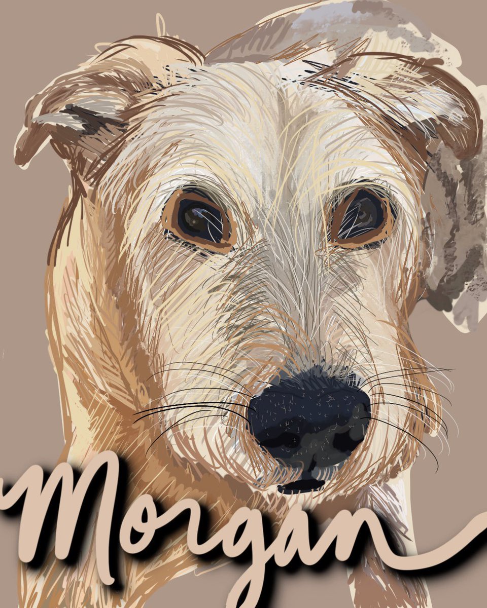 mikaylabeeler's tweet photo. I recently started creating animal prints and it’s so much fun bringing peoples furry friends to life so I’m starting a thread of my orders🥺❤️ https://t.co/eDIK3XZl6v