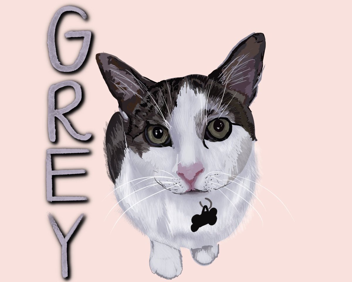 mikaylabeeler's tweet photo. I recently started creating animal prints and it’s so much fun bringing peoples furry friends to life so I’m starting a thread of my orders🥺❤️ https://t.co/eDIK3XZl6v