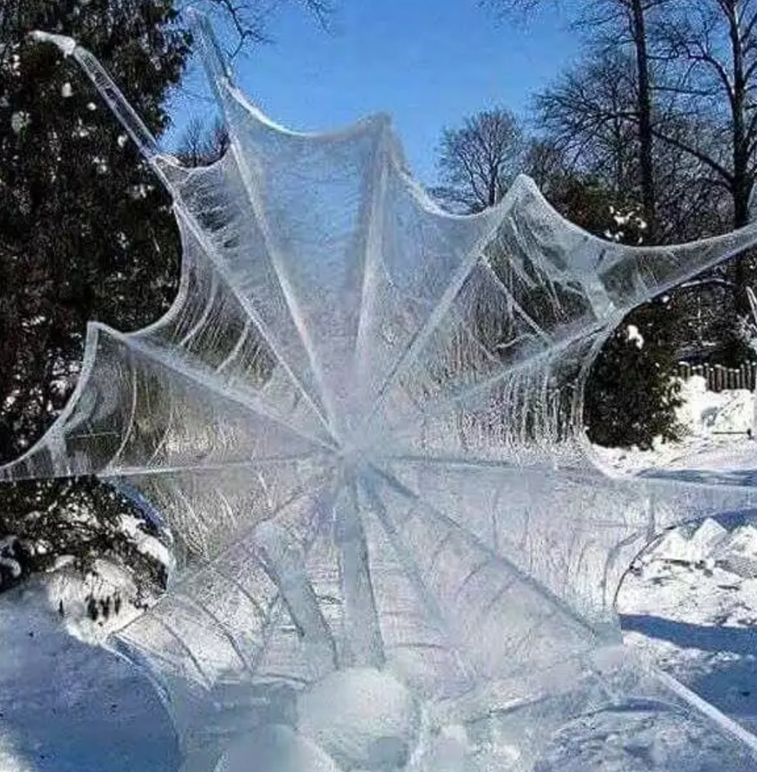 きれいな風景 Have A Break 凍ったクモの巣 T Co Pi2b4qvlne Twitter