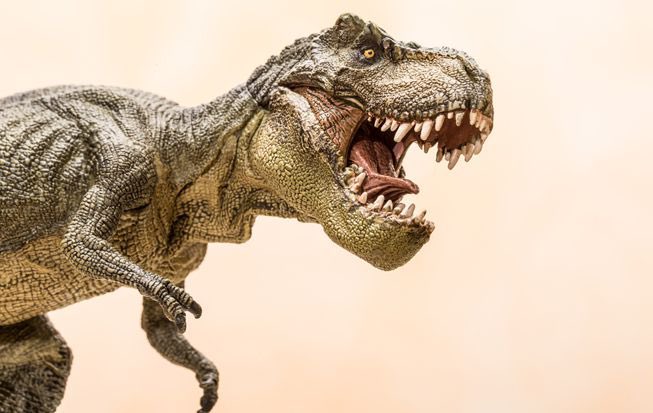 jerimo__'s tweet image. On this day in 1905, Tyrannosaurus Rex was named🤗