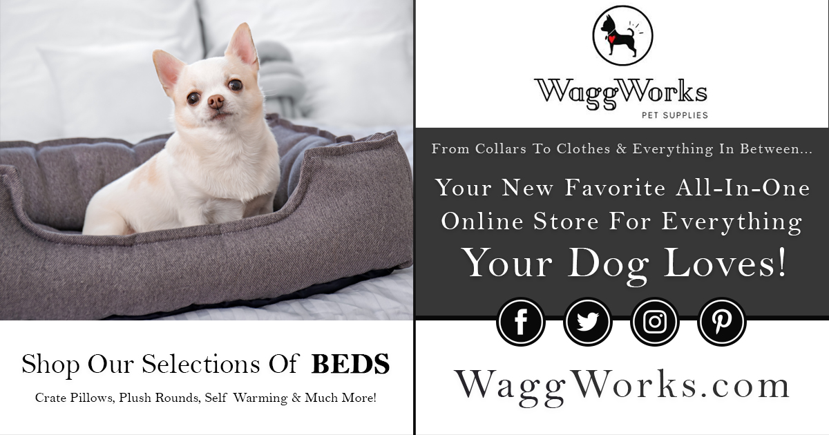 WaggWorks's tweet image. #WaggWorks #dogbeds #dogpillows #dogcushions