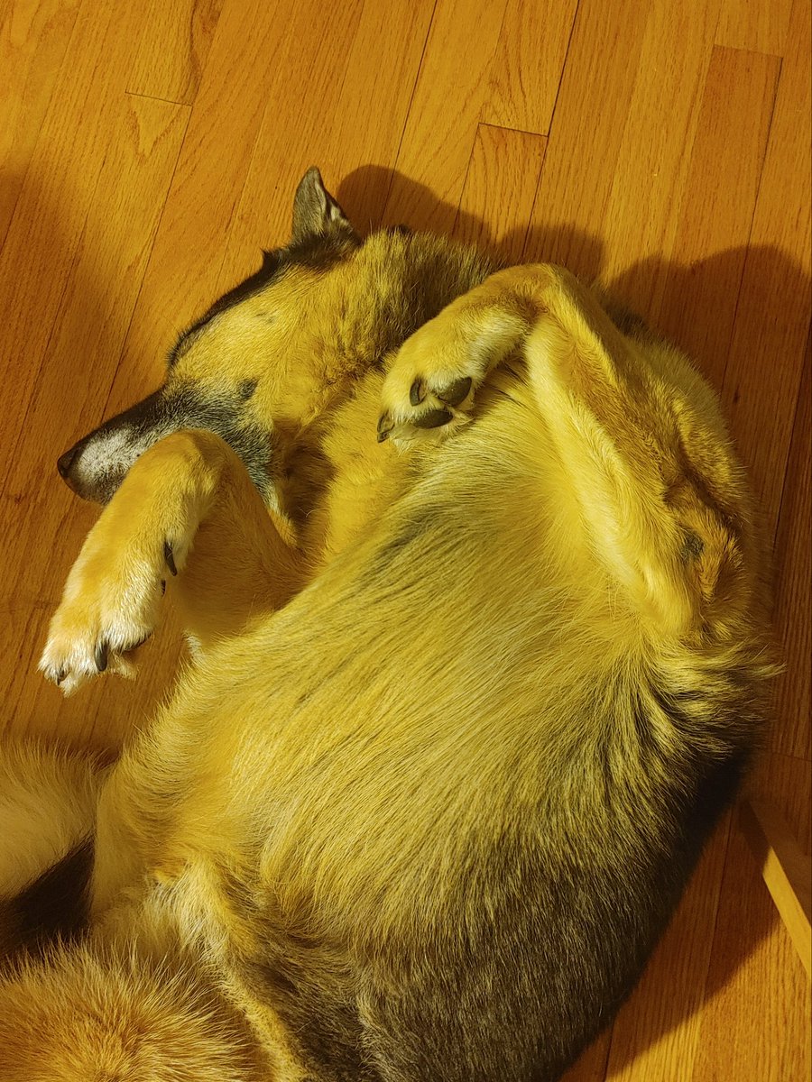 𝑺𝒕𝒆𝒗𝒆𝒏 𝑷𝒐𝒕𝒕𝒆𝒓 tweet media