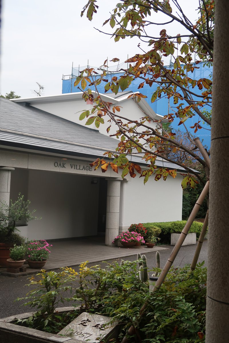 公益財団法人 樫山奨学財団 第15回 樫山純三賞 第二次選考会をオークヴィレッジで行いました 表彰式は来年に延期となりますが受賞作は決定します 1月の関東obog会以来のオークヴィレッジ 秋の装いでした 公益財団法人 樫山奨学財団 第15回 樫山純三賞 第二次選考会をオークヴィレッジで行いました 表彰式は来年に延期となりますが受賞作は決定します 1月の関東obog会以来のオークヴィレッジ 秋の装いでした