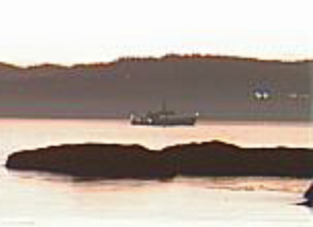 WarshipCam's tweet photo. HMCS Brandon (MM 710) Kingston-class coastal defence vessel anchored off of Esquimalt, British Columbia - October 5, 2020 #brandon #mm710 https://t.co/rlTREuVROB