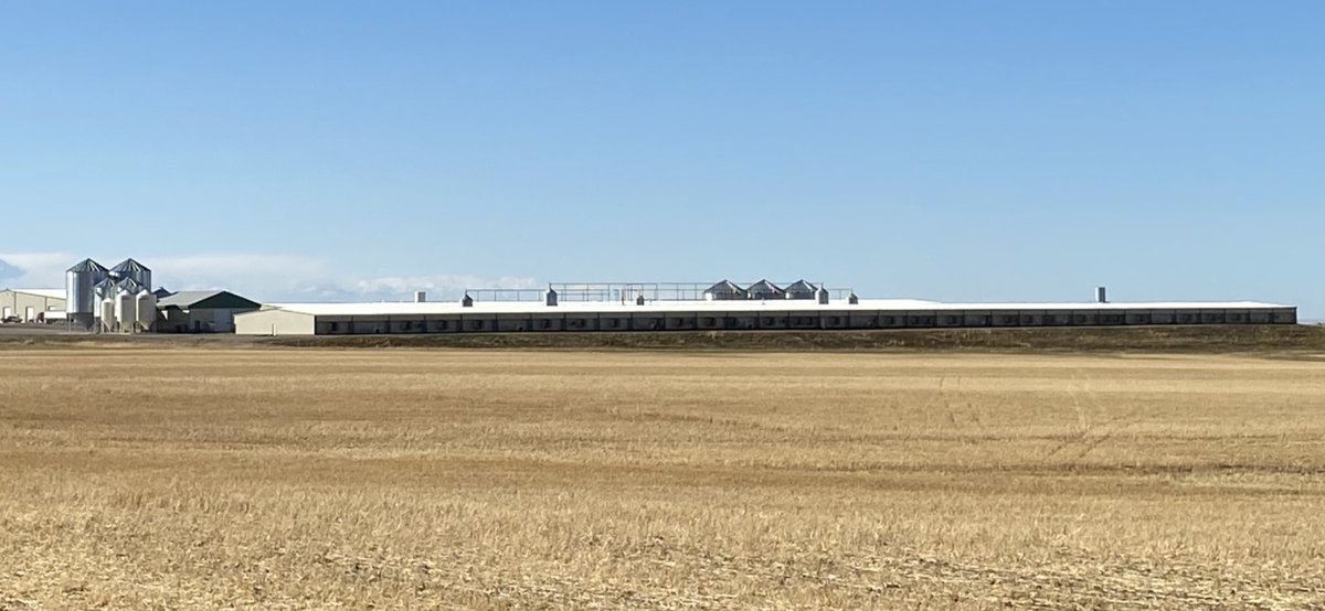 Connect OnFarm tweet media