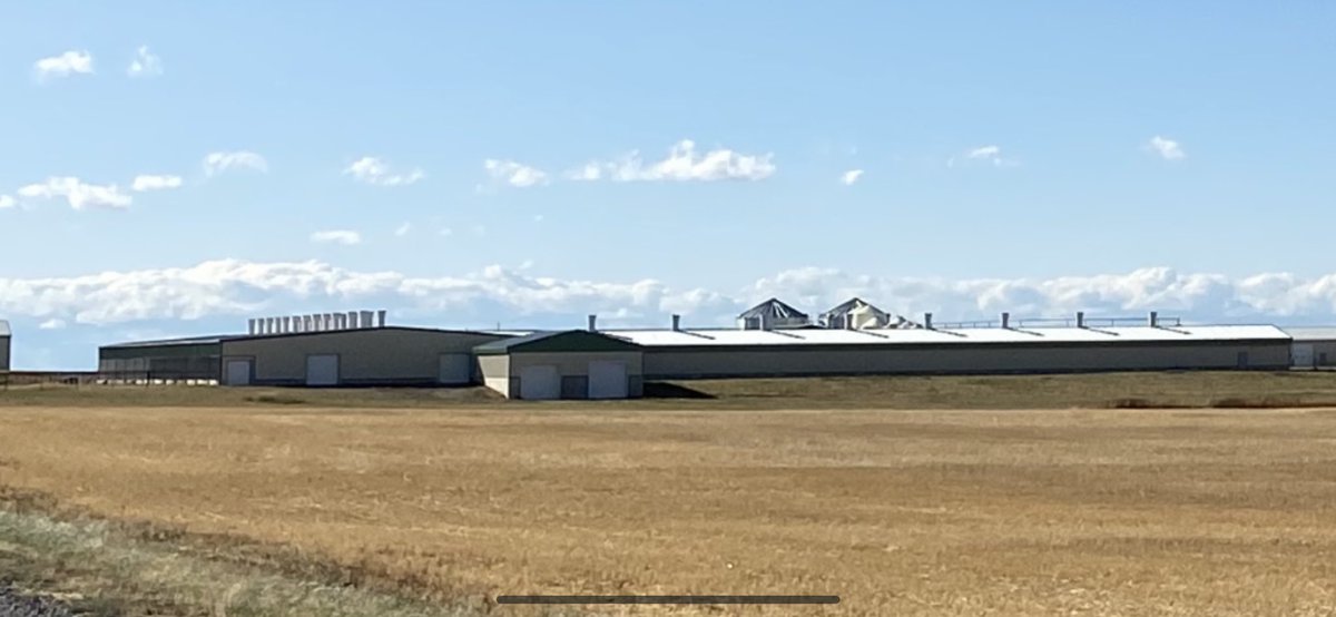 Connect OnFarm tweet media