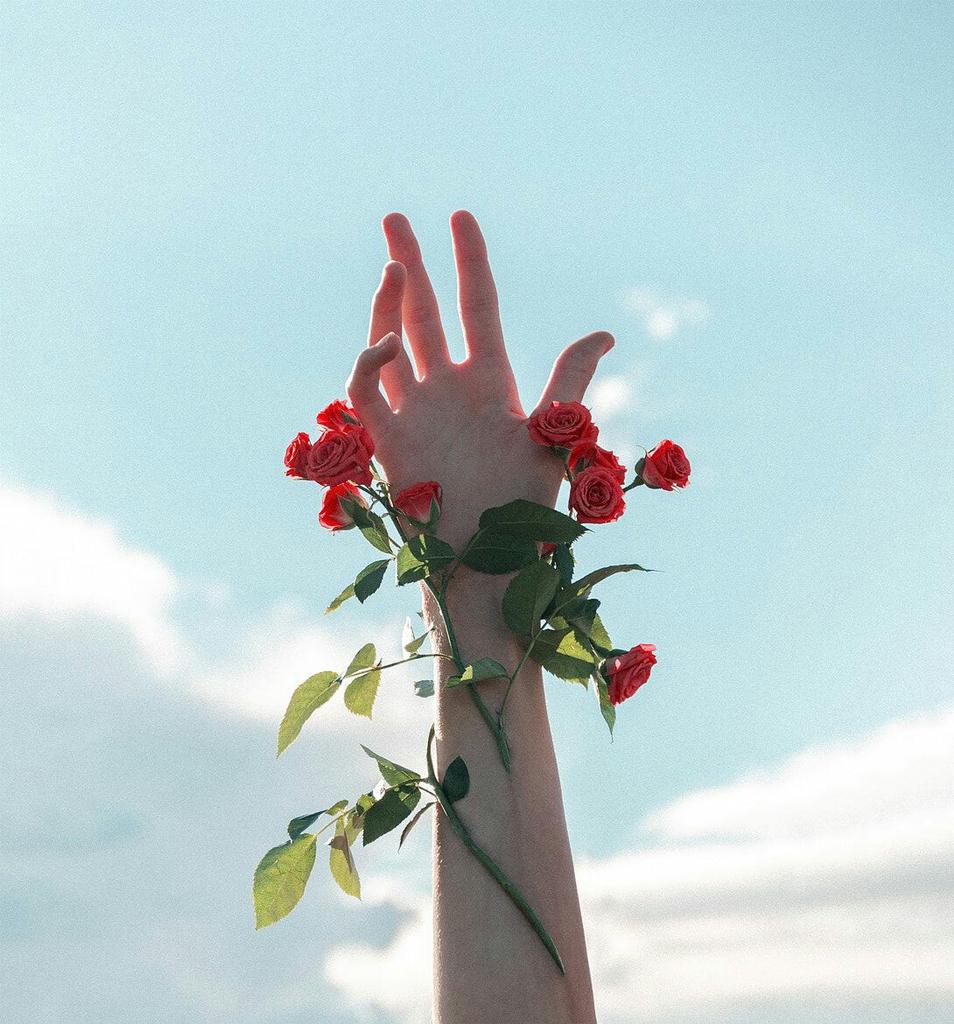 #صباح_الخيرات #صباح_السعاده #صباح_الخير🌹 #صباح_الخير_يا_عرب #صباح_الورد  #صبحكم_الله_بالخير #صبحيات #المرأة_السعودية