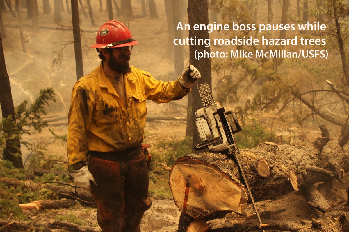 SixRiversNF's tweet photo. Resources on #AugustComplexNorthZone for 10/6:
👩🏽🦱1,444 people
🧑19 crews
🚒78 engines
🚁11 helis
🚜27 dozers
The Zone is a part of the #AugustComplex also burning in the @MendocinoNF @ShastaTrinityNF
See inciweb for more info: https://t.co/5ibxxuD9f5
@CALFIRE_HUU https://t.co/jnIn7Ot7QC
