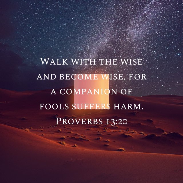 bible.com/111/pro.13.20.…