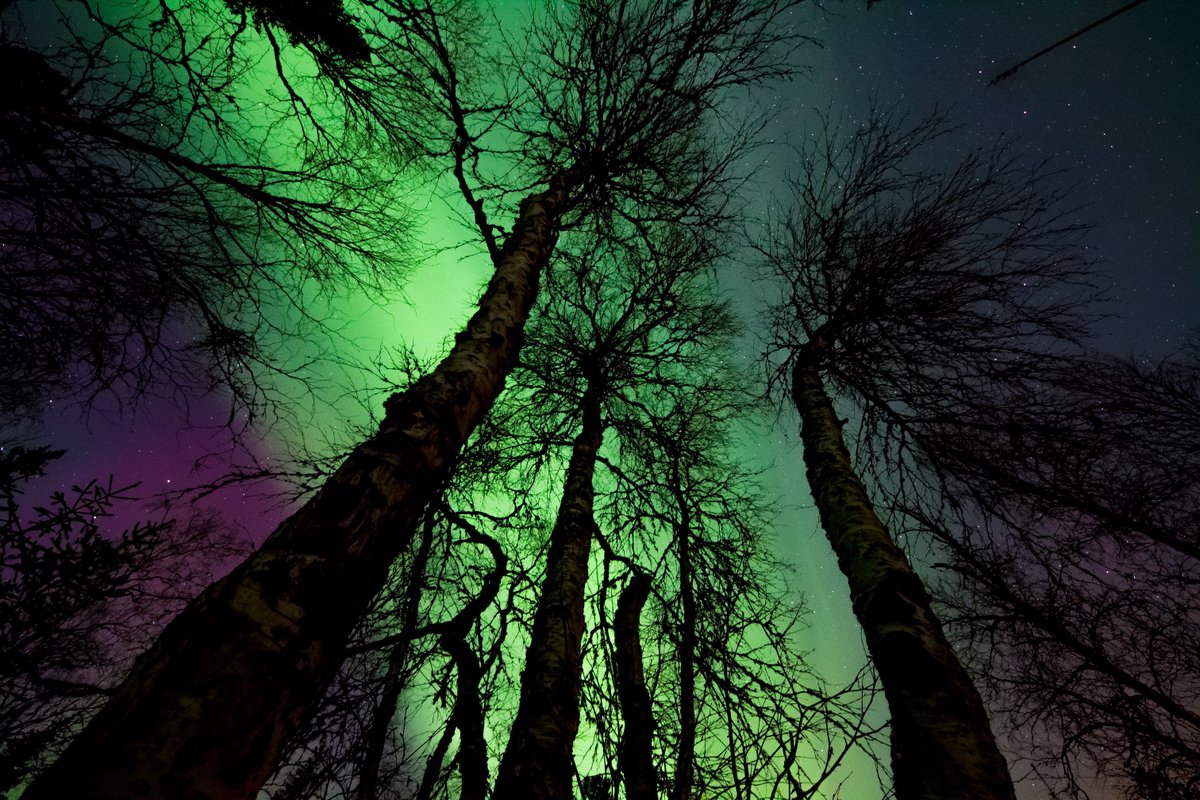 Enjoy this photo of Aurora Borealis.
Wishing you sound sleep and 
sweet dreams.
🛌😴💤

#GoodNight #GoodNightTwitterWorld #GoodNightEveryone