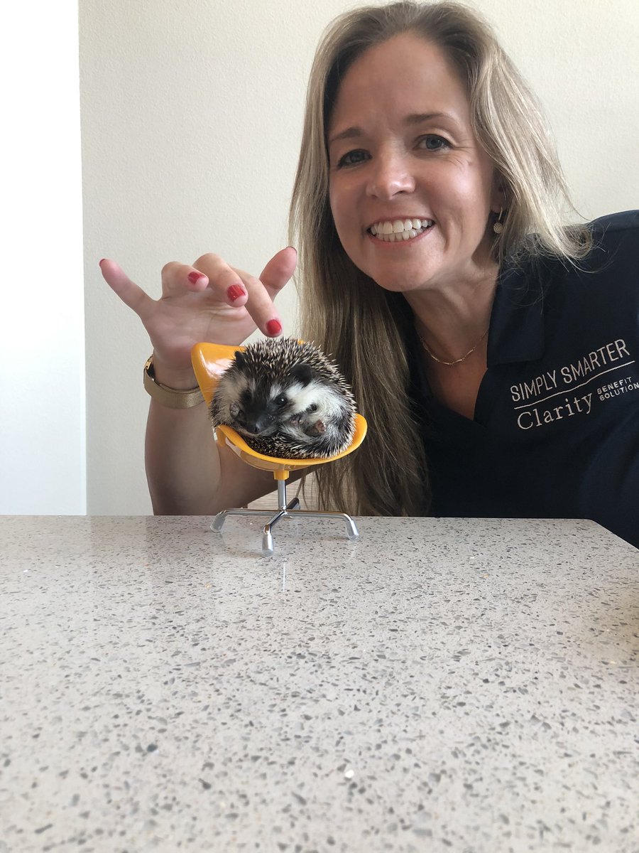 BDNSF's tweet photo. Clarity Benefit Solutions’ exhibitor booth at HR Southwest is staffed by Texas Sales Rep Bethany Nelson and our new Fall Intern “mini” the hedgehog.  C’mon by tomorrow!
#HRSWC  #simplysmarter  #HRSWC2020 https://t.co/lDmKLWExvh