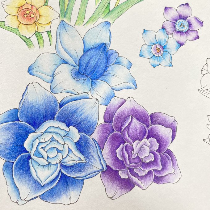 花日和花だよりのtwitterイラスト検索結果