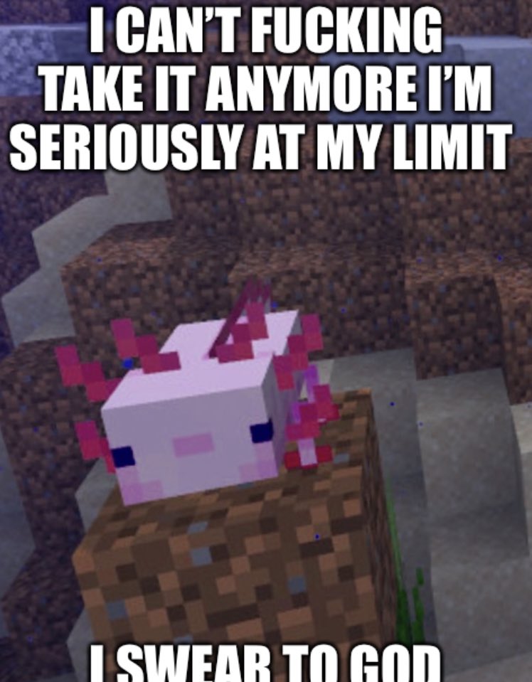 God Bless You, Ashtray Petting Zoo (SNES_Nerd) Twitter