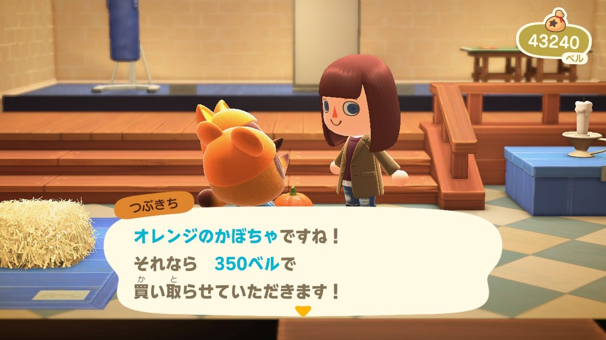 あつ森 かぼちゃの効率的な植え方とレシピ一覧 あつまれどうぶつの森攻略wiki 神ゲー攻略