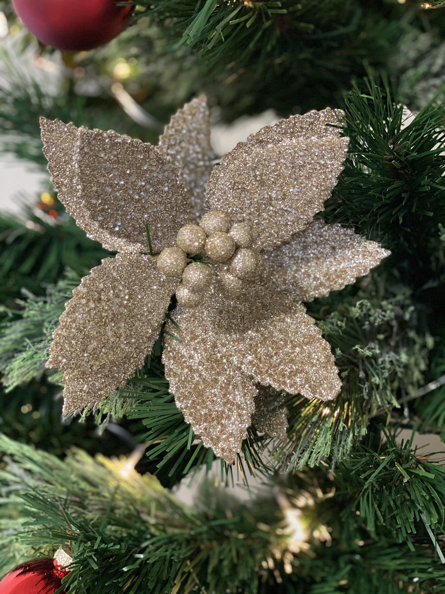 dylansmith16's tweet photo. @kaop_opie @TheSun When the sales staff at @DavidJonesStore said they heard people were already putting up trees, that was reason enough for me to get cracking ... (but seriously, how gorgeous are their decorations) https://t.co/ajWcg2Rach