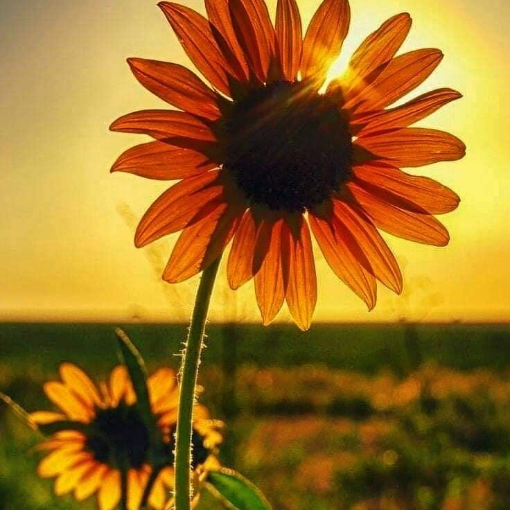 ia7773's tweet photo. Follow me follow back💯💯💯💯💯💯💯💯💯💯 https://t.co/qqqVfqWkbL