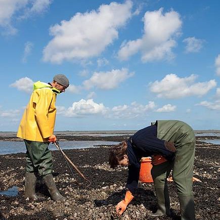 Veltman Vis Service tweet media