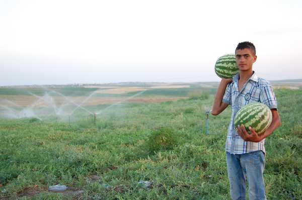 Adıyaman Samsat Saklı Bahçe