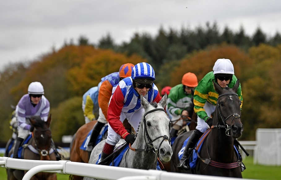 Exeter Racecourse Exeterraces Twitter