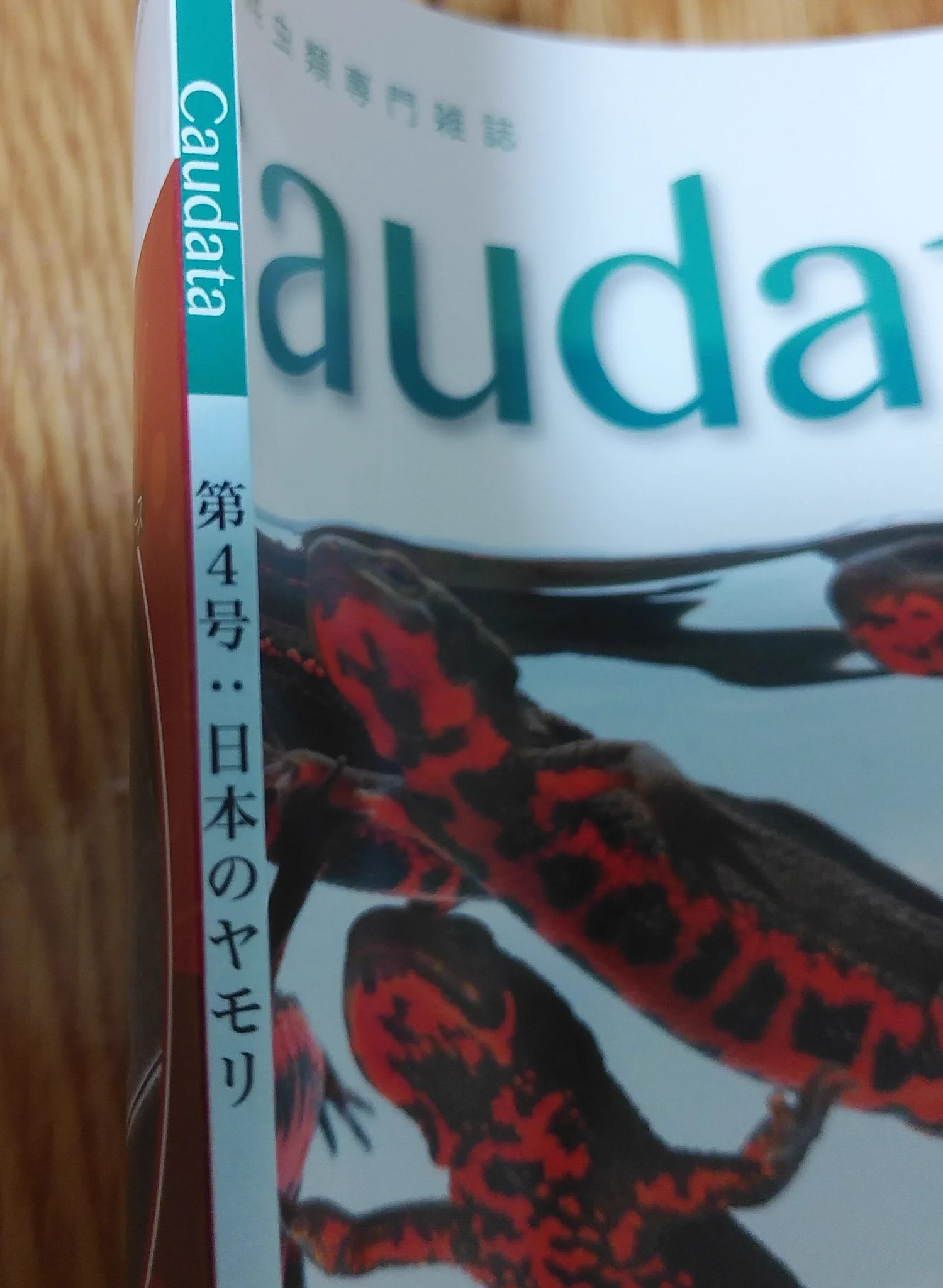 @yubishacaudata @19801970 本当だ！全然気づきませんでした… 