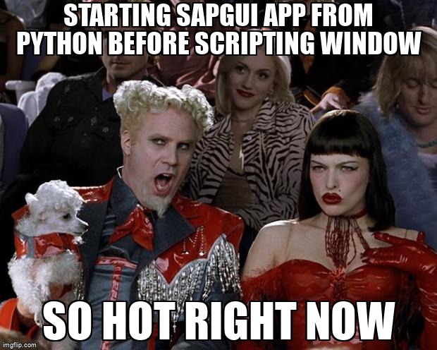 overflow_meme's tweet image. Starting SapGui app from python before scripting window stackoverflow.com/questions/6421… #sapgui #python #win32com