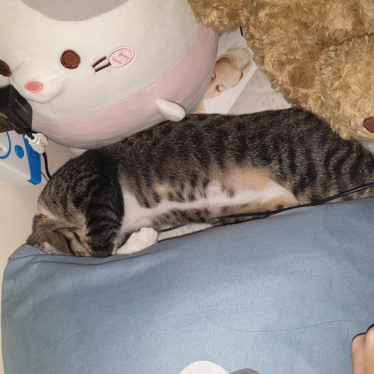 จิ๊ดจิ๋วตะหลิวส้ม ♡ tweet media