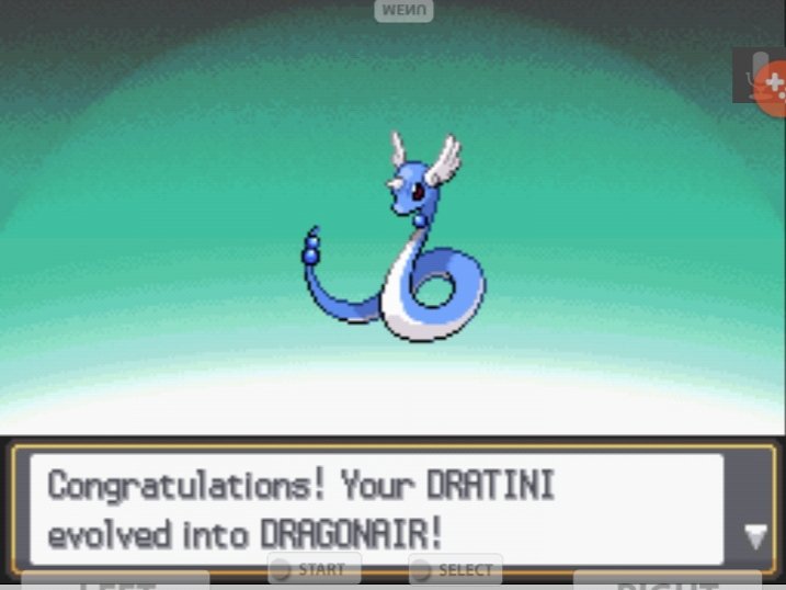 Easy victory against Gerald.Dratini even evolved afterwards thanks to a battle against a Koffing.