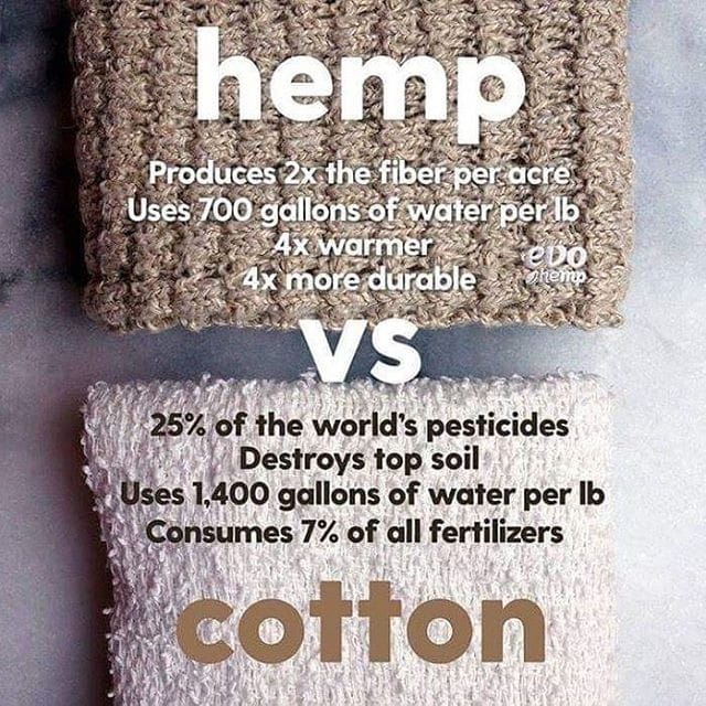 RealHiiiPower's tweet photo. Hemp vs Cotton https://t.co/l4JMZP3Vsu