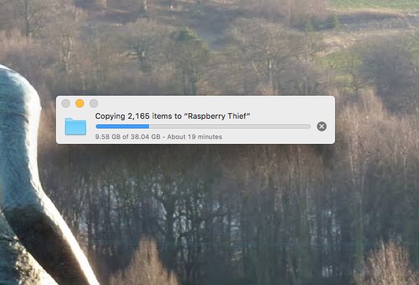 anghenn's tweet image. Thought it was time I bought a back up hard drive! Slightly scary looking at those files, hours of work that could disappear in a flash. How do you secure all your work?  Is there a best practice artists use? #artistsupport #artistsontwitter #bestpractise #backup #selfemployed