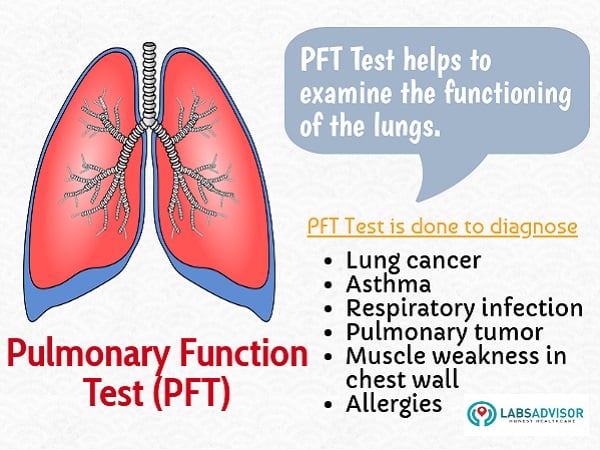 LabsAdvisor's tweet image. Pulmonary Function Test (PFT) is done to examine the functioning of the lungs.
To know more - blog.labsadvisor.com/pulmonary-func…
#pft #pulmonaryfunctiontest #lungcancer #asthma #pulmonarytumor #Lungdisease #respiratoryproblems #allergies #healthcare #HealthForAll #labsadvisor